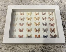 Homemade 1.25 inseashell for sale  Denver