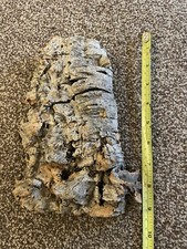 Cork bark flats for sale  STOKE-ON-TRENT