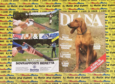 Rivista magazine del usato  Vigarano Mainarda