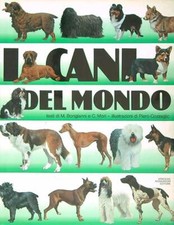 Cani del bongianni usato  Italia