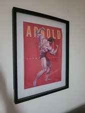 Arnold schwarzenegger ronnie gebraucht kaufen Arnold schwarzenegger ronnie gebraucht kaufen  Bremen