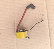 Bobina elettronica motosega usato  Parma