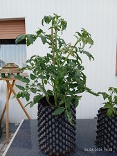 Superroot air root gebraucht kaufen  Blomberg