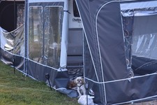 Caravan dorema daytona for sale Caravan dorema daytona for sale  SHEFFIELD