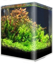 Aquarium amtra nanotank gebraucht kaufen  Leipzig