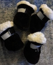 Nwot small dogs for sale  Sparta