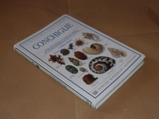 Conchiglie biblioteca della usato  San Giovanni in Persiceto
