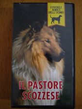 Vhs film pastore usato  Maglie