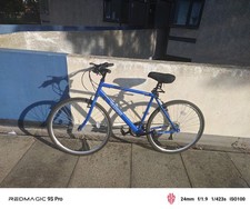 Apollo transfers adult for sale  ERITH