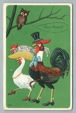 Galo “Classe” e Galinha em Top Hat ANIMAIS VESTIDOS Fantasia Coruja Chantecler 21 comprar usado  Enviando para Brazil