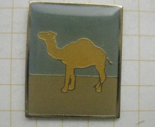 Camel ........................ gebraucht kaufen  Münster