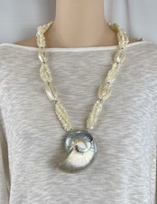 Vtg nautilus shell for sale  Beaumont
