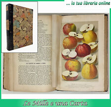 Libro antico botanica usato  San Germano Chisone