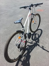Bicicletta mountain bike usato  Livorno
