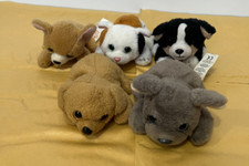 Russ petooties pets for sale  DAGENHAM