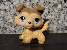 Lps 893 littlest d'occasion Lps 893 littlest d'occasion  Beaumont-sur-Sarthe