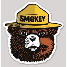 Adesivo de vinil 4 polegadas não reflexivo Smokey The Bear Prevent Forest Fires comprar usado  Enviando para Brazil