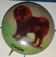 C1917 chow chow for sale  Troutville