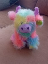 Jomanda highland coo for sale  NORTH SHIELDS