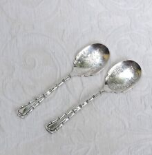 Coppia antichi scoop usato  Pisa