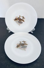 Pratos de sobremesa Fire King pássaros selvagens pão e manteiga vidro leitoso grouse com babados dois comprar usado  Enviando para Brazil
