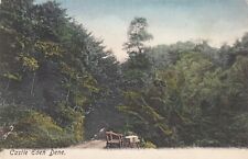 Postcard castle eden for sale  BURY