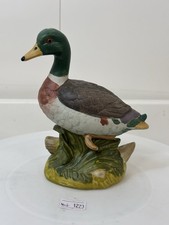 mallard drake for sale  NORWICH