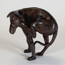 Robert crutchley greyhound for sale  BERKHAMSTED