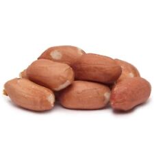25kg premium peanuts for sale  OKEHAMPTON