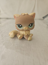 Authentique chaton persan d'occasion  Vaulx-en-Velin