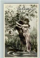 13102544 thermidor ak gebraucht kaufen  Eimeldingen