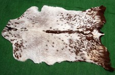animal skin rugs for sale animal skin rugs for sale SOUTHALL