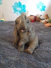 Lovely sweet leonardo for sale  UK