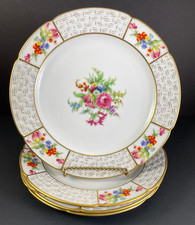 Noritake salad luncheon for sale  Churubusco