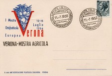 Verona cartolina affrancata usato  Sant Agnello