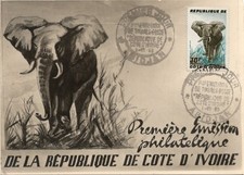 Maximaphilie carte maximum d'occasion  Toulon-