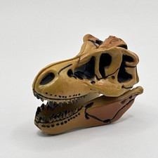 Tyrannosaurus rex skull d'occasion  Expédié en France