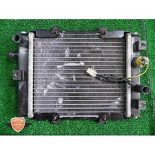 Raffreddatore acqua benelli usato  Napoli