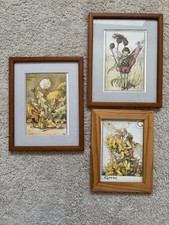 Framed flower fairy for sale  UK