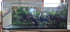 Aquarium zubehör gebraucht kaufen  Büdingen