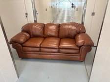 Premium quality brown for sale  Stirling