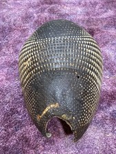 armadillo shell for sale  Ellis
