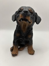 Rottweiler pup dog for sale  Barboursville