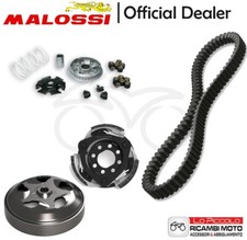 Kit malossi variatore usato  Palermo