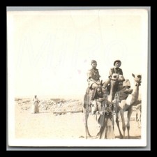 Ww2 dak corpo usato  Spedire a Italy