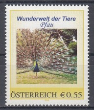 8004804 wunderwelt tiere gebraucht kaufen  Ranstadt