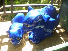 Chat bleu chaton d'occasion  Lyon V