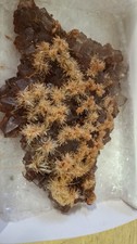 mineralien kristalle gebraucht kaufen  Rötha