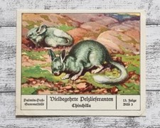 Figurina fornitori pelliccia usato  Spedire a Italy