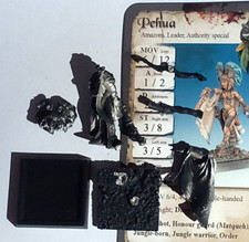 Pehua freebooters fate gebraucht kaufen  Cremlingen